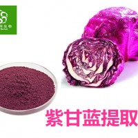 紫甘蓝速溶粉 99%全水溶 紫甘蓝提取物 工厂店包邮