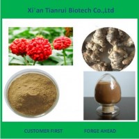 斯诺特三七提取物现货供应
