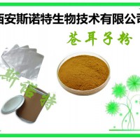 苍耳子提取物 苍耳子浸膏粉 10:1 20:1等规格供应