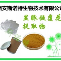 【新资源食品】显脉旋覆花提取物 根茎提取