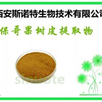 保哥果树皮粉  保哥果粉 10:1 20:1等 包邮发货