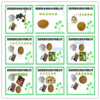 初乳碱性蛋白 98% 包邮 斯诺特厂家