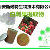 白刺果多糖 30% 白刺果提取物 多种规格供应