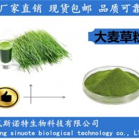 大麦草粉 99%大麦苗粉 大麦苗提取物厂家
