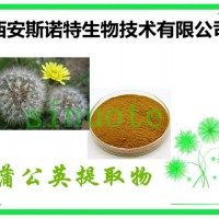 健康原料 蒲公英提取物 蒲公英速溶粉 浸膏粉 斯诺特备案厂家