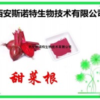 红甜菜根粉 甜菜根速溶粉 现货包邮