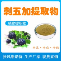 刺五加提取物 0.8%~1.5%刺五加苷