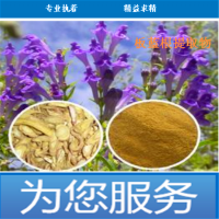 板蓝根提取物现货供应