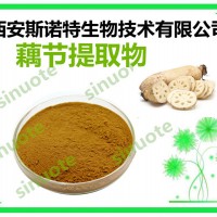 藕节提取物 莲藕提取物 供应 生产厂家