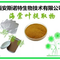 新食品原料 湖北海棠叶提取物 10:1 茶海棠叶粉