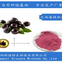 巴西莓提取物 巴西莓粉99% 西北植提企业 含运费