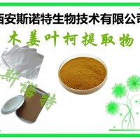 木姜叶柯粉 10:1 新资源食品 木姜叶柯粉价格