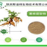 葛根提取物 葛根黄酮40% 好原料 就选西北植提厂家