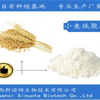 小麦低聚肽 80%活性含量 西北植提厂家 现货包邮