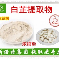 白芷提取物 白芷粉 好品质 好原料 西北植提厂家
