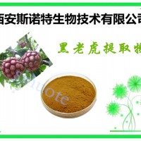黑老虎浸膏粉 黑老虎粉 快速发货 保质保量