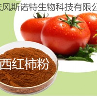 番茄粉 番茄提取物 番茄红素 厂家现货直销 西红柿粉