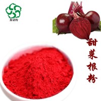 甜菜根粉 红甜菜根提取物 营养丰富 口感好 斯诺特厂家