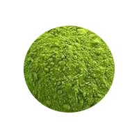 燕麦苗粉 SOD 燕麦苗汁粉 25公斤桶装 包邮