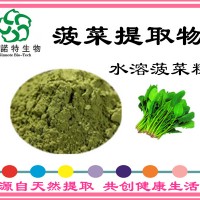 菠菜提取物 水溶菠菜粉 10:1 绿色天然 健康安全