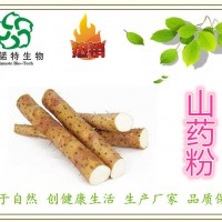 山药粉 山药熟粉 山药提取物 速溶 厂家现货