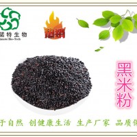 黑米粉 黑糯米提取物 富含花青素 生产厂家 原料