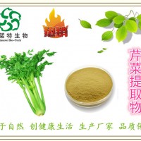 芹菜提取物 芹菜粉 10:1 芹菜素 现货
