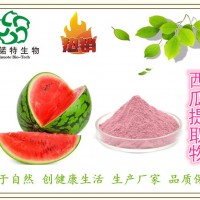 当季：西瓜汁粉 西瓜浓缩汁粉 西瓜提取物