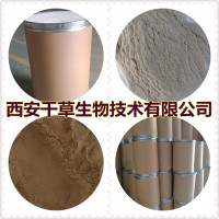 槟榔子提取物槟榔子浓缩粉槟榔子浸膏粉