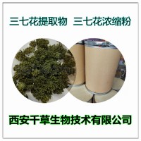 三七花提取物三七花浓缩粉三七花浸膏粉