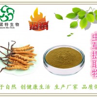 虫草提取物 冬虫夏草提取物 虫草多糖