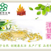 厂家：洋甘菊提取物 10:1 母菊提取物 芹菜素