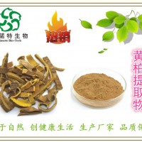 黄柏提取物 黄檗提取物 檗木提取物 10:1
