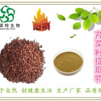 芹菜籽提取物 10:1 芹菜子提取物 现货供应