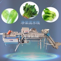净菜加工设备 智能化省人工型净菜加工流水线