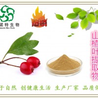 山楂叶提取物 海红果叶提取物 现货直销