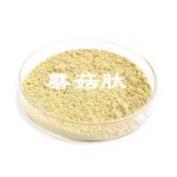 蘑菇肽 蘑菇多肽 小分子更好吸收