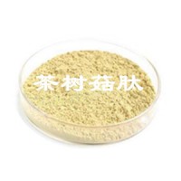 茶树菇小分子肽 茶树菇提取 专业肽生产厂家