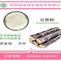 甘蔗粉 高倍浓缩甘蔗汁提取物 甘蔗甜苷 食品级甜味剂