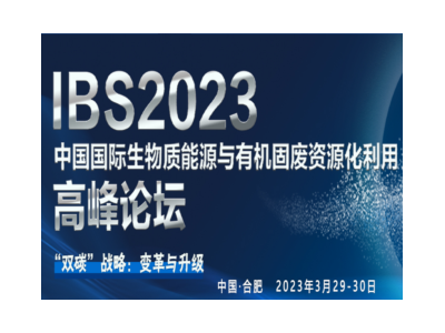 第十一届中国国际生物质能源与有机固废资源化利用高峰论坛