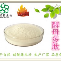 酵母多肽80% 高生物活性 小分子厂家 选择斯诺特 放心安心