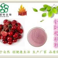 巴西针叶樱桃果汁粉 25%维生素C高含量 速溶樱桃VC粉