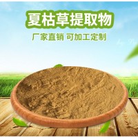 夏枯草提取物 夏枯草速溶粉 全水溶 夏季饮料优选