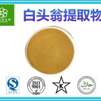 白头翁提取物20:1 白头翁提取粉 白头翁粉 厂家一手现货