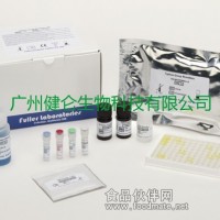 H7N9病毒检测试剂盒