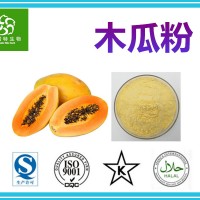 木瓜速溶粉 水溶木瓜粉 木瓜果粉 规格全 价格优 源头厂家