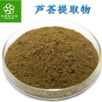 规格全：芦荟甙40芦荟苷20 90芦荟干粉 芦荟提取物