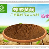 蜂胶提取物/蜂胶黄酮 高含量蜂胶黄酮 天然蜂胶 斯诺特生物
