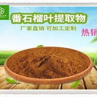 高比例番石榴叶提取物 番石榴浓缩粉 富含番石榴黄酮 包邮