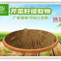 芹菜籽粉 水溶芹菜籽提取物 高比例浓缩芹菜籽粉 现货供应